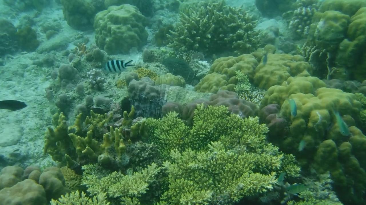 Iris Island Eco Resort 부수안가 외부 사진
